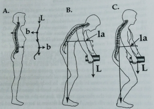 osteopatia lanziano-rectificación-peso